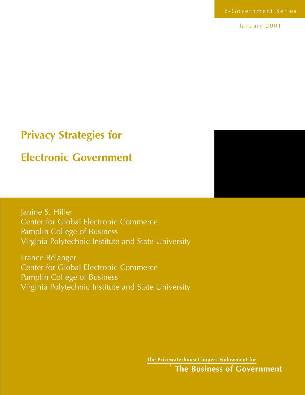 Privacy Strategies for Electronic Government