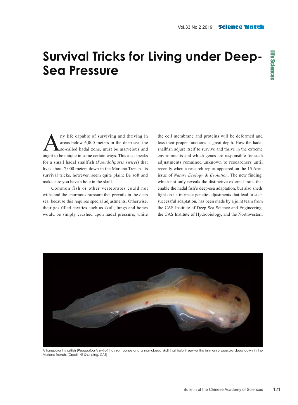 Survival Tricks for Living Under Deep- Sea Pressure