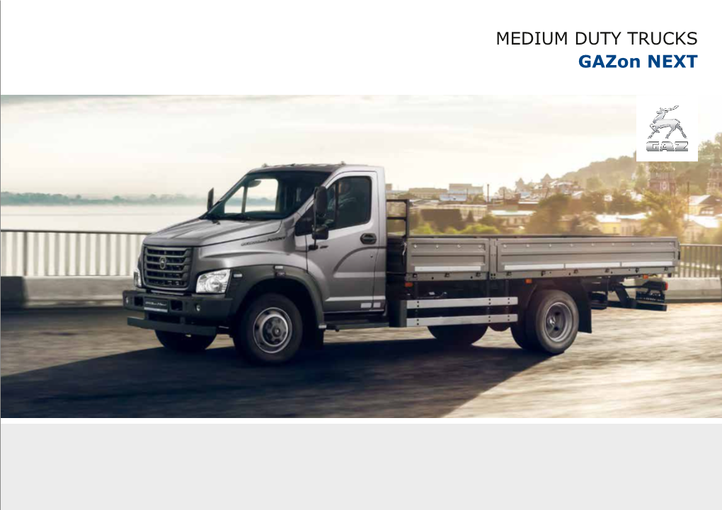 MEDIUM DUTY TRUCKS Gazon NEXT