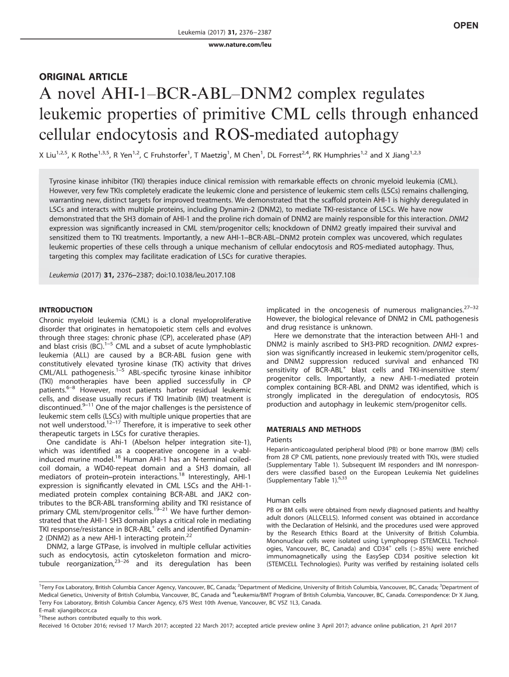 DNM2 Complex Regulates Leukemic Properties of Primitive CML Cells Through Enhanced Cellular Endocytosis and ROS-Mediated Autophagy