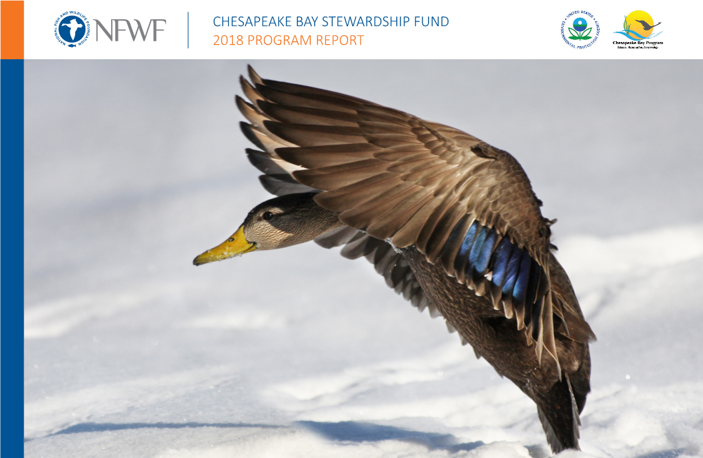 Chesapeake Bay Stewardship Fund 2018 Program Report Our Program