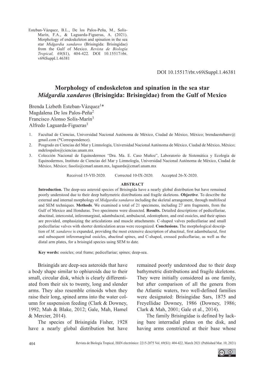 Morphology of Endoskeleton and Spination in the Sea Star Midgardia Xandaros (Brisingida: Brisingidae) from the Gulf of Mexico