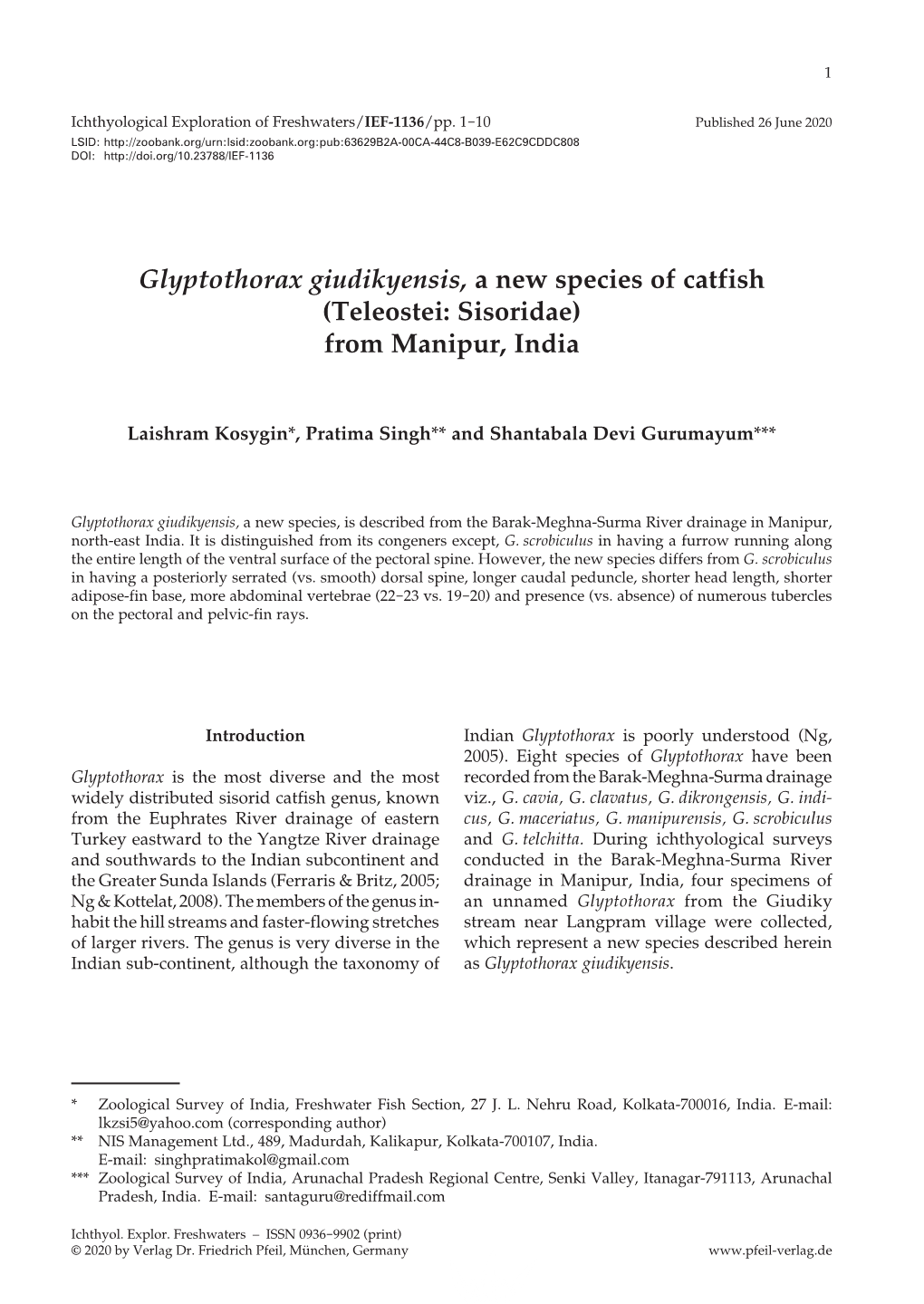 Glyptothorax Giudikyensis, a New Species of Catfish (Teleostei: Sisoridae) from Manipur, India