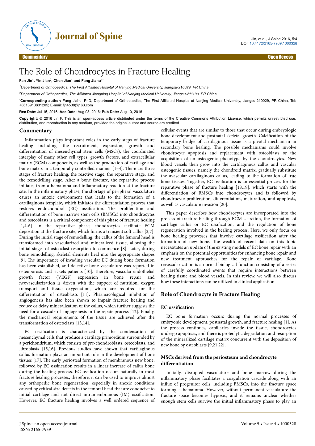 The Role of Chondrocytes in Fracture Healing
