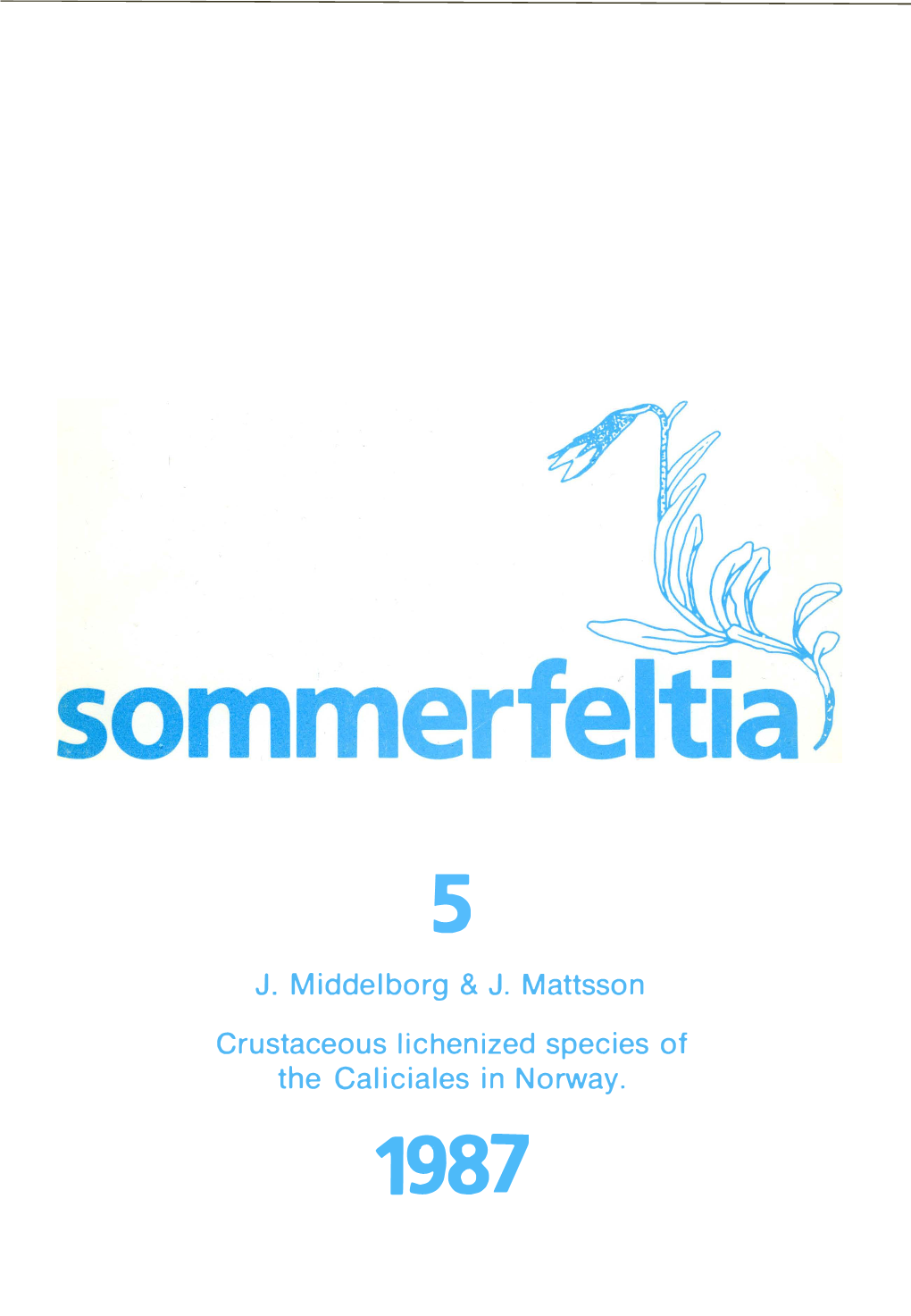 Sommerfeltia