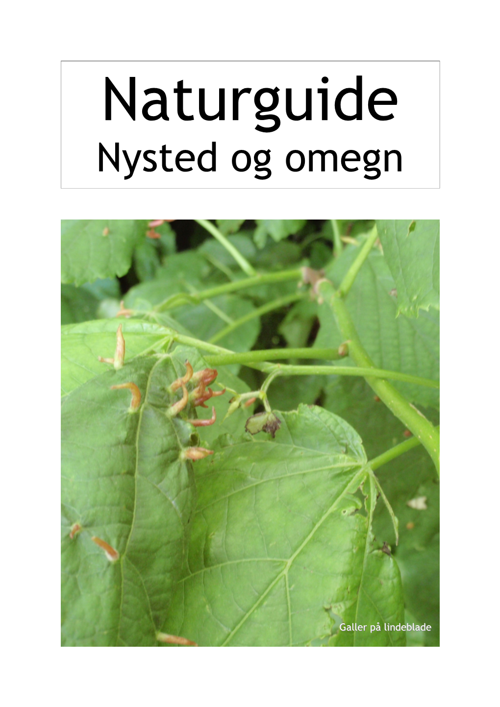 Naturguide Nysted Og Omegn