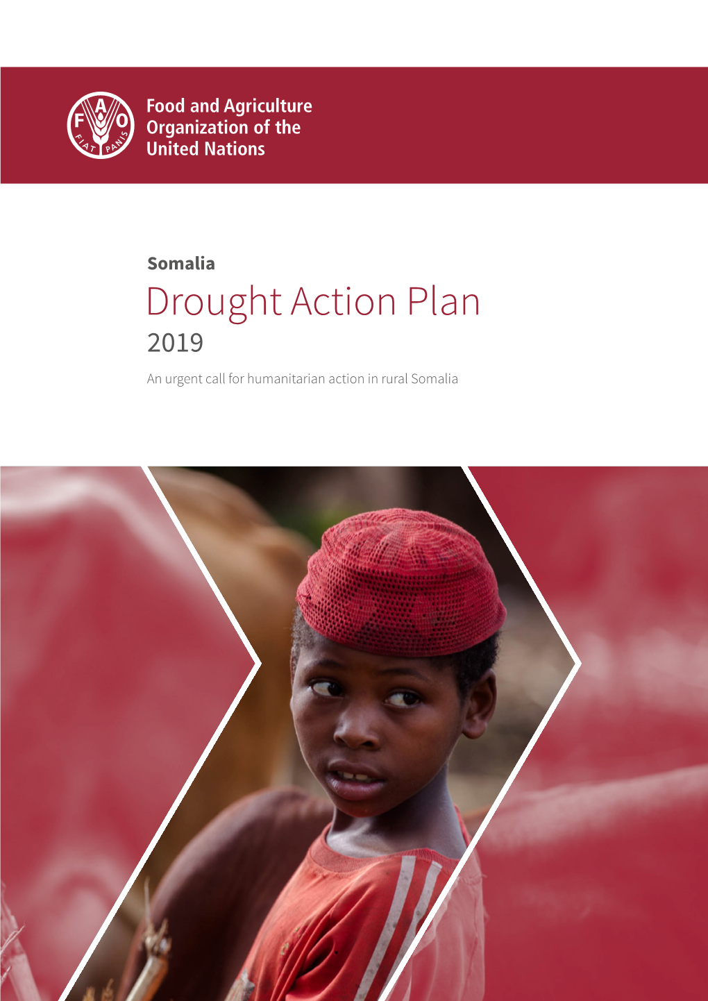 Somalia Drought Action Plan 2019 an Urgent Call for Humanitarian Action in Rural Somalia