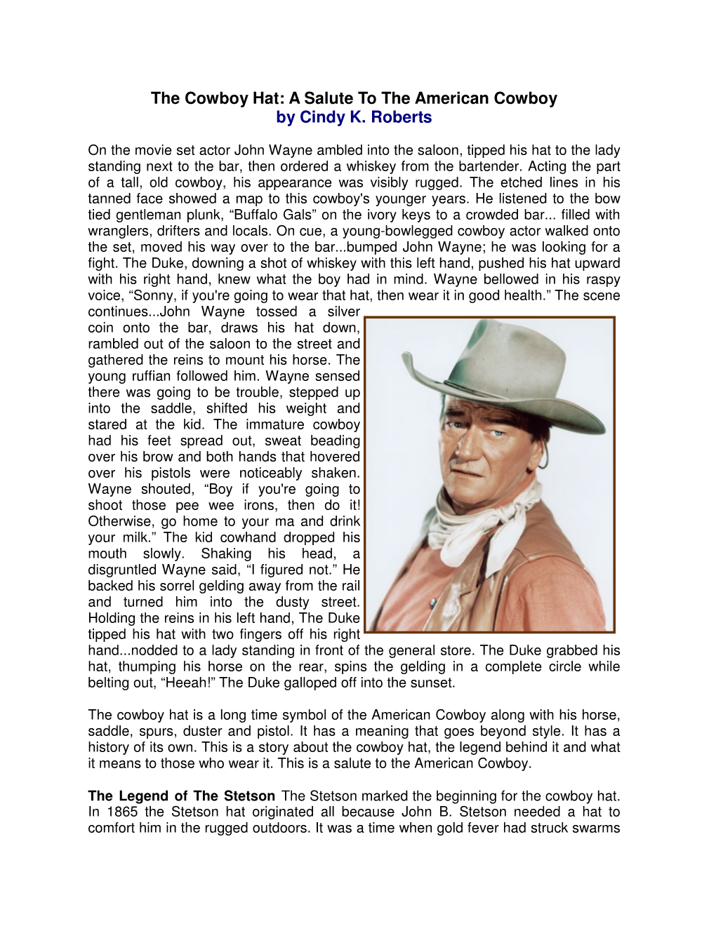 The Cowboy Hat: a Salute to the American Cowboy by Cindy K