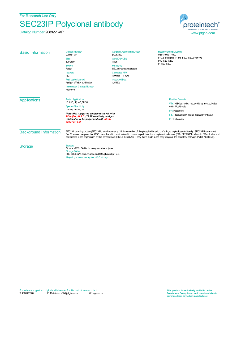 SEC23IP Polyclonal Antibody