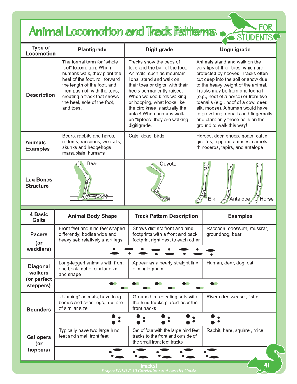 Animal Locomotion and Track Patterns for STUDENTS