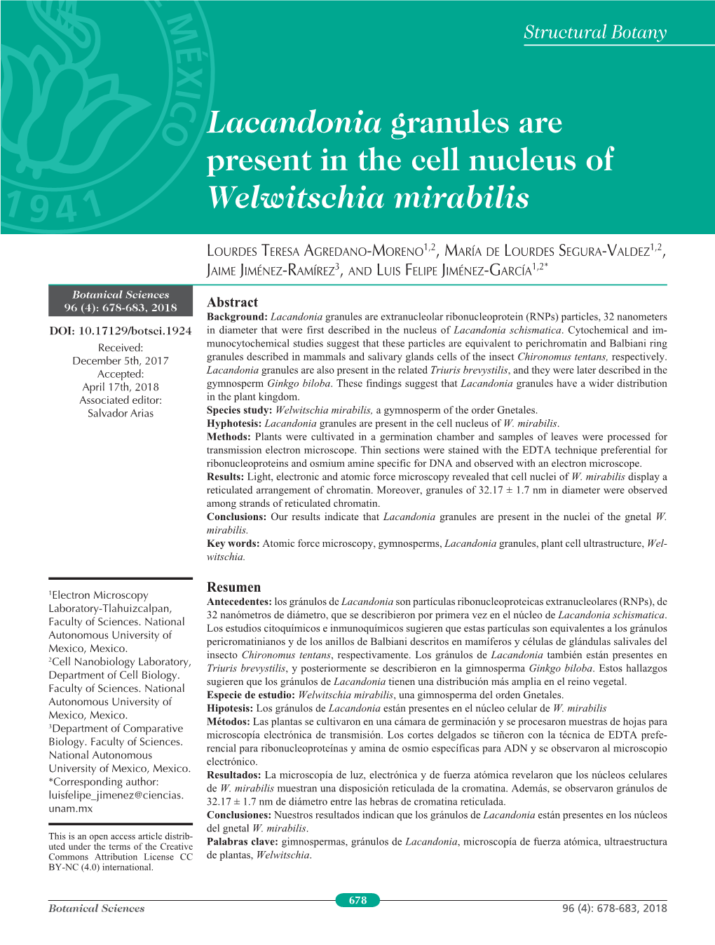 Lacandonia Granules Are Present in the Cell Nucleus of Welwitschia Mirabilis