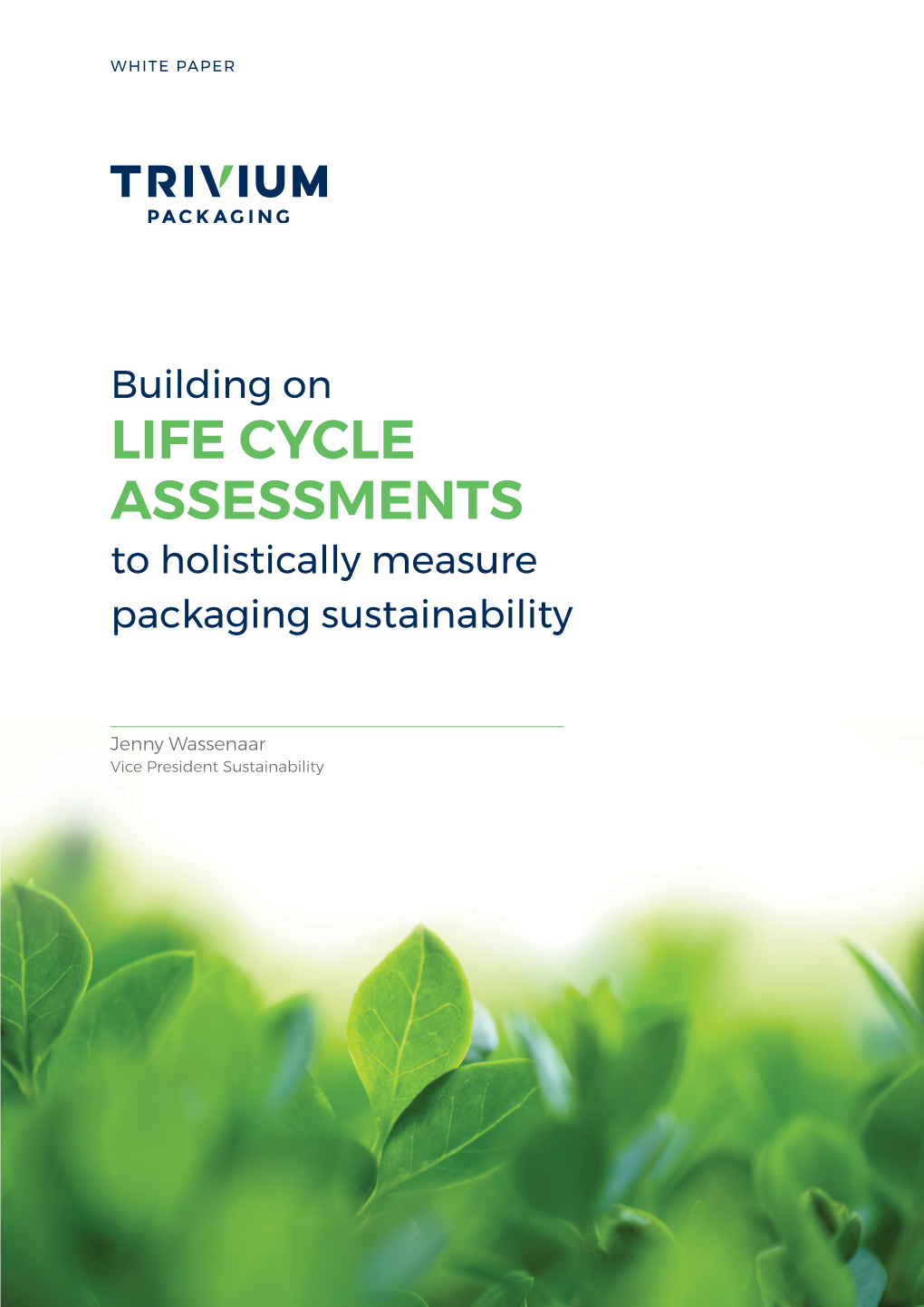 White Paper on Holistic Life Cycle Assessments