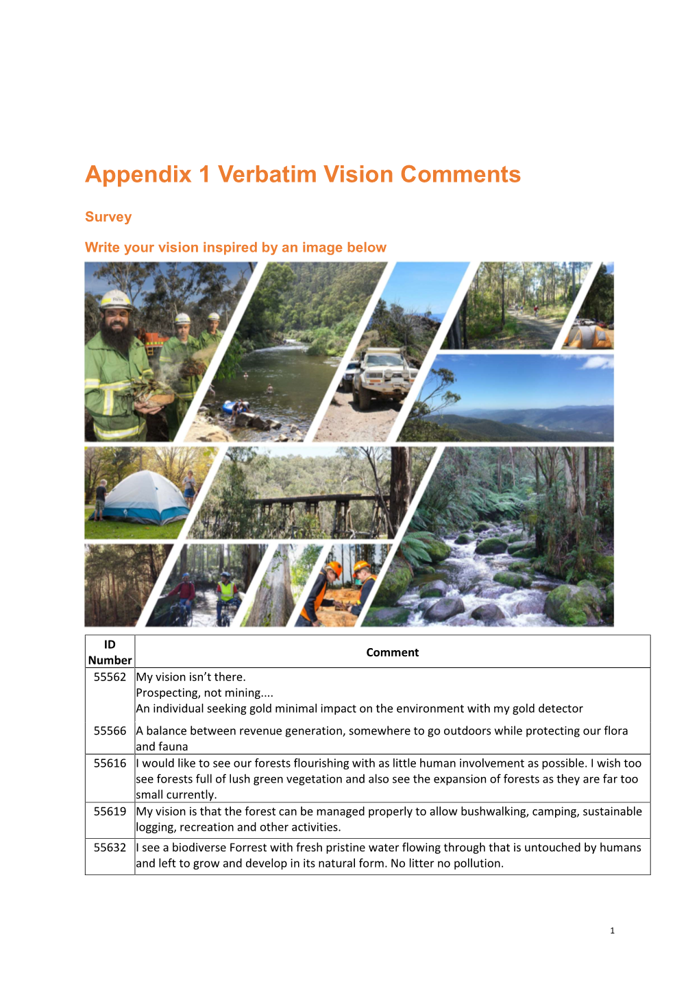Appendix 1 Verbatim Vision Comments