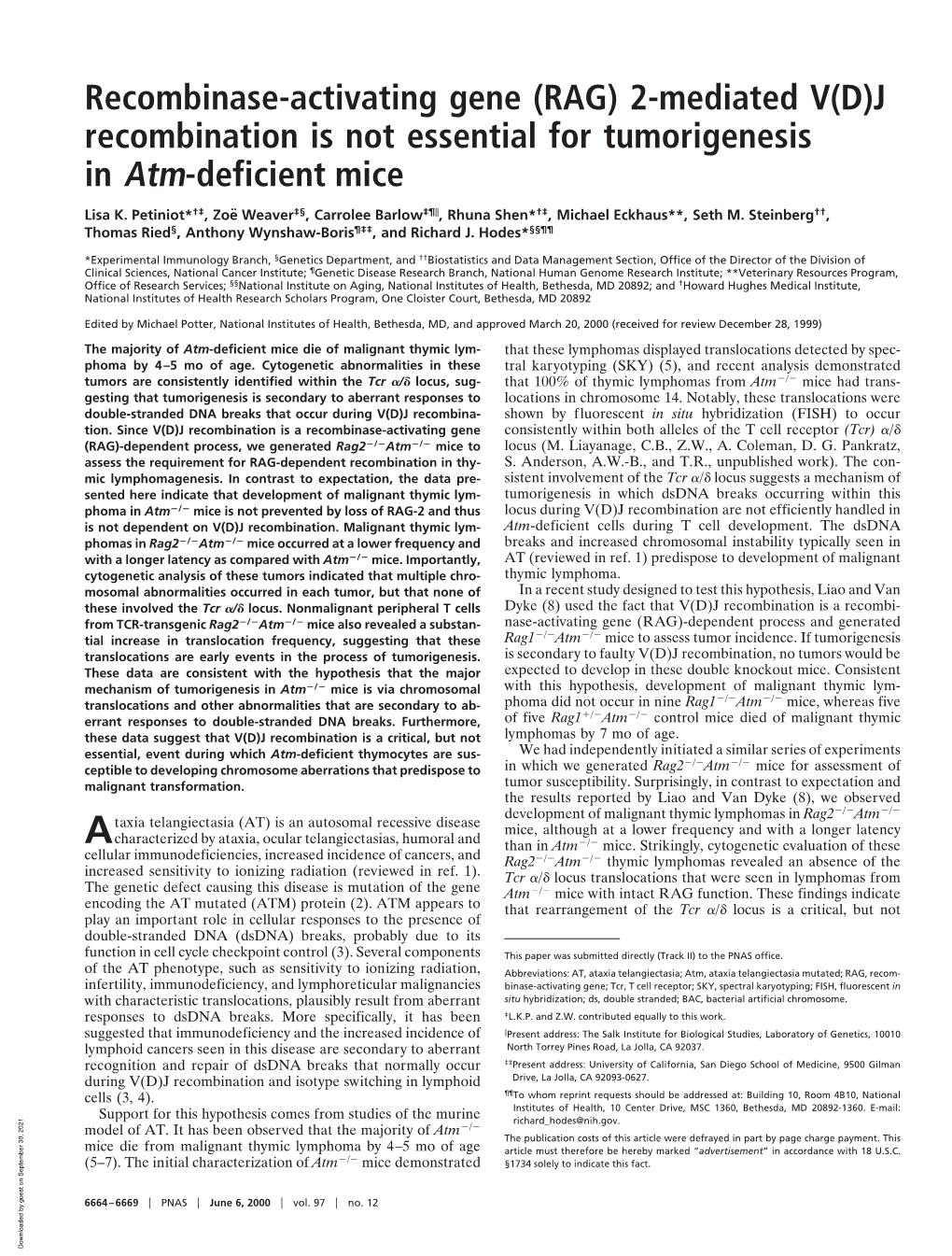 J Recombination Is Not Essential for Tumorigenesis in Atm-Deficient Mice