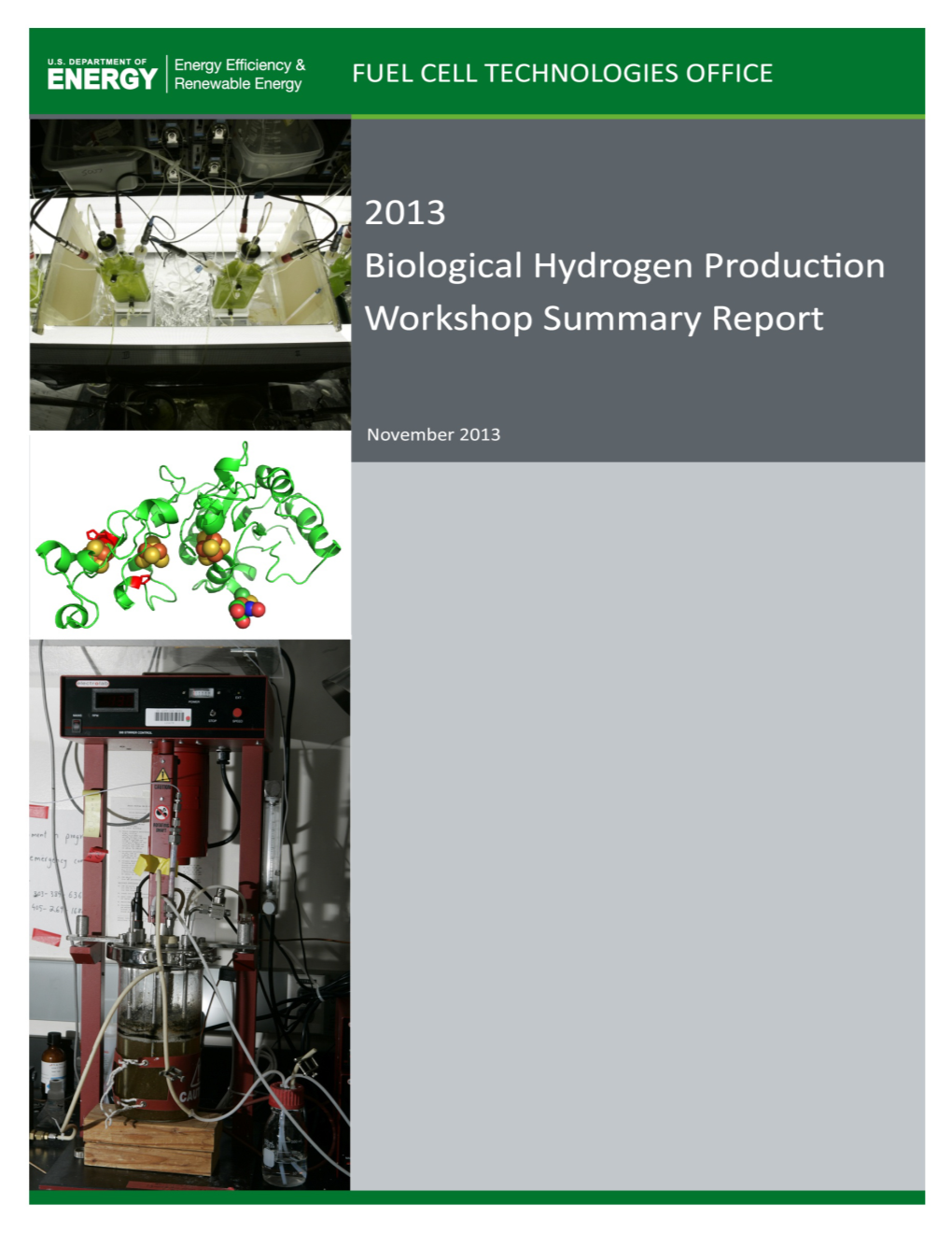 2013 Biological Hydrogen Production Workshop Summary Report