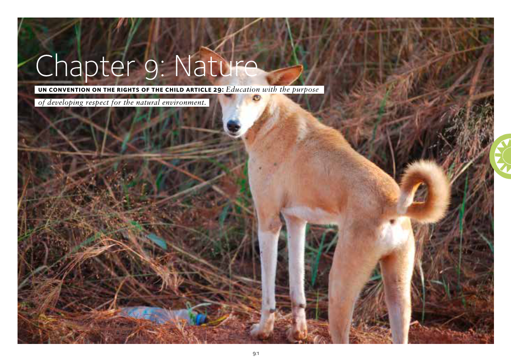 Chapter 9: Nature Un Convention on the Rights of the Child Article 29: Education with the Purpose of Developing Respect for the Natural Environment