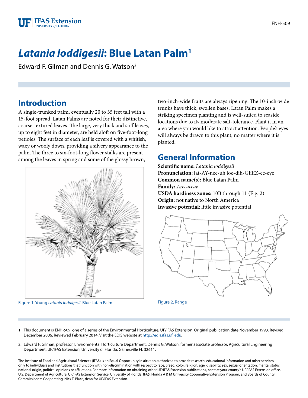 Latania Loddigesii: Blue Latan Palm1 Edward F