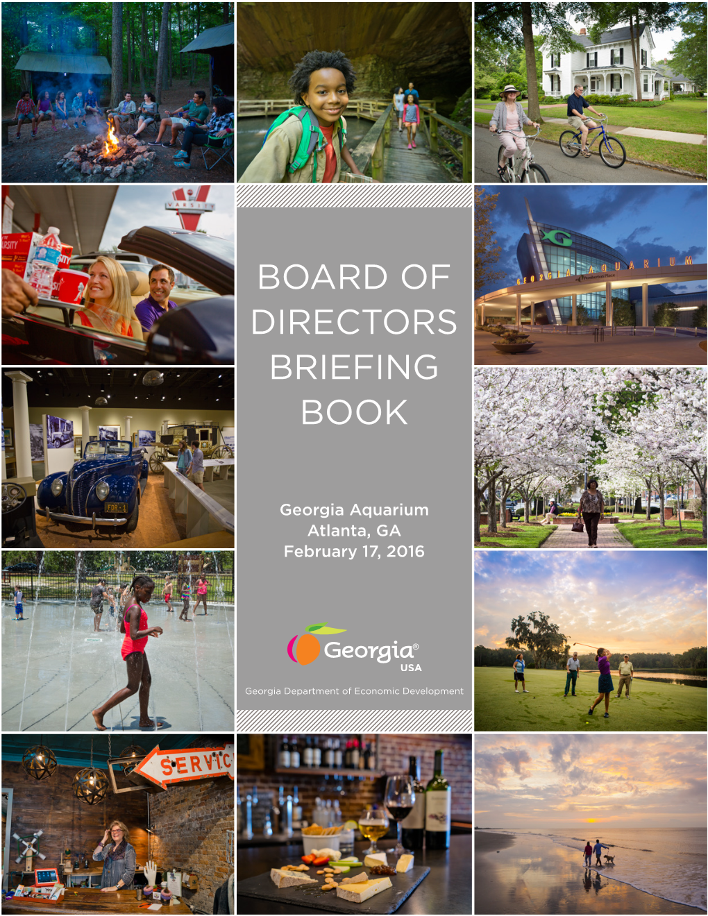 Board of Directors Briefing Book