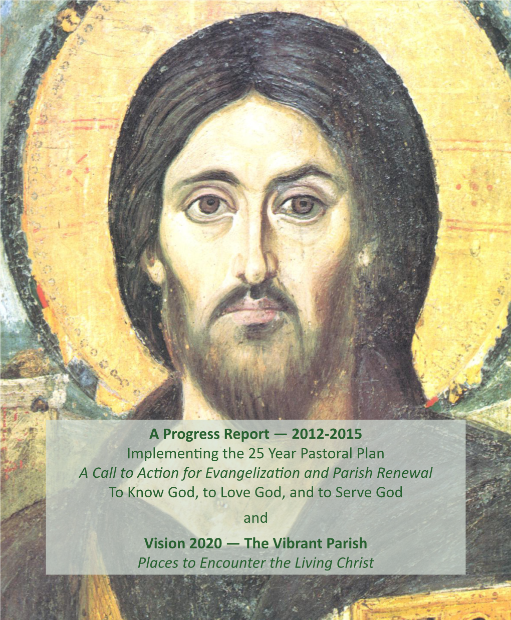 A Progress Report — 2012-2015 Implementing the 25 Year Pastoral Plan a Call to Acfion for Evangelizafion and Parish Renewal To