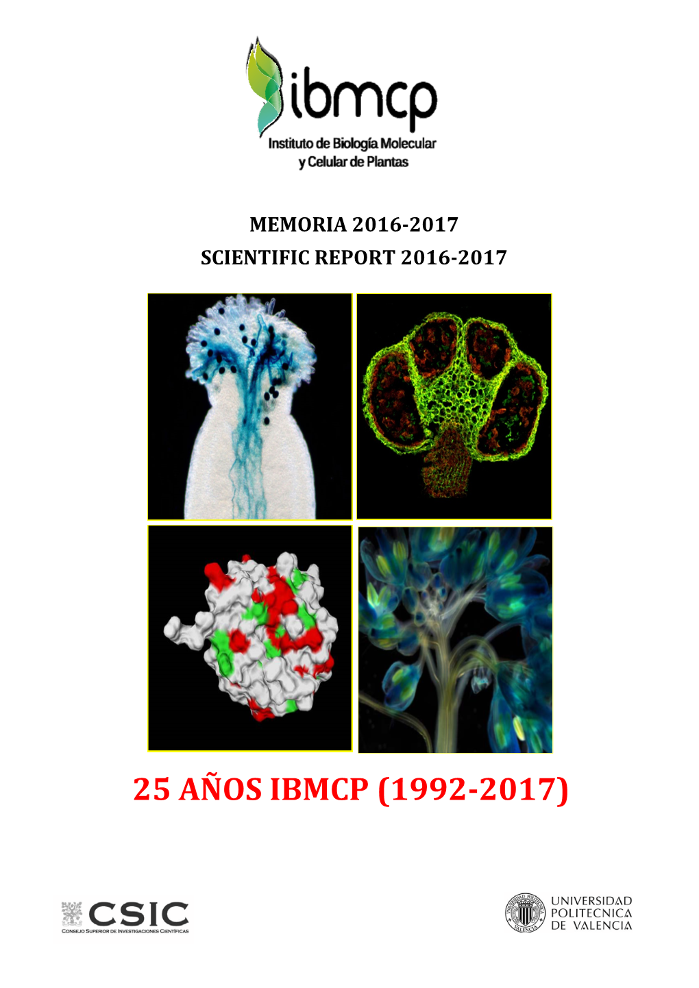 25 Aniversario IBMCP