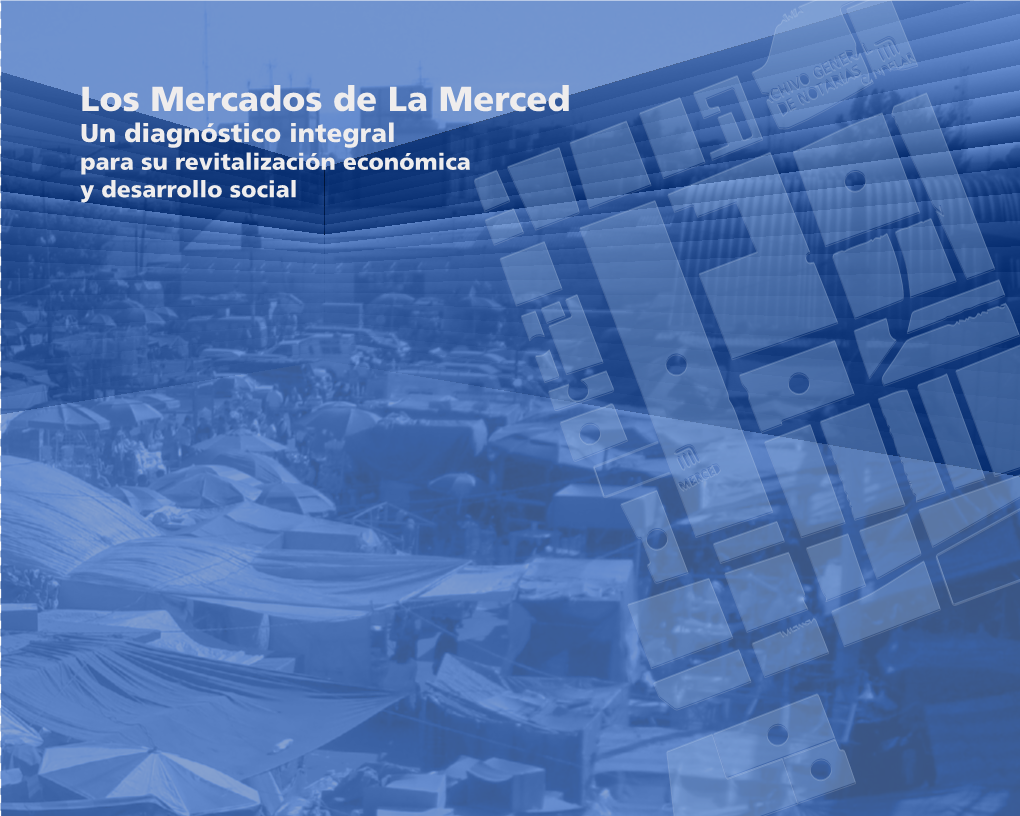 Los Mercados De La Merced Un Diagnóstico Integral Para Su Revitalización Económica Y Desarrollo Social