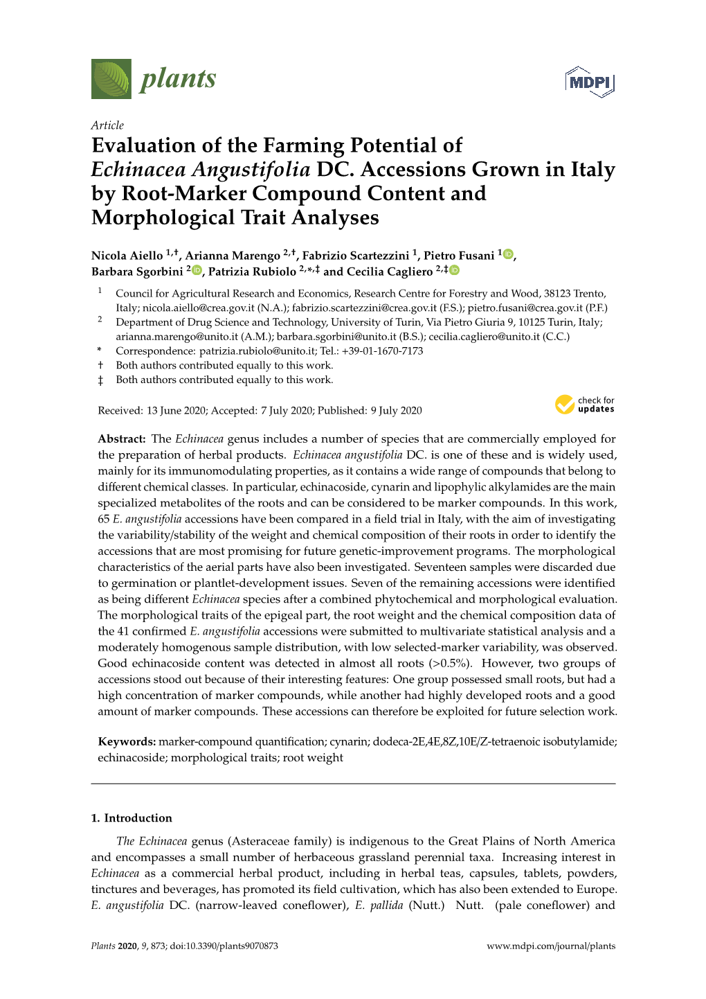 Evaluation of the Farming Potential of Echinacea Angustifolia DC