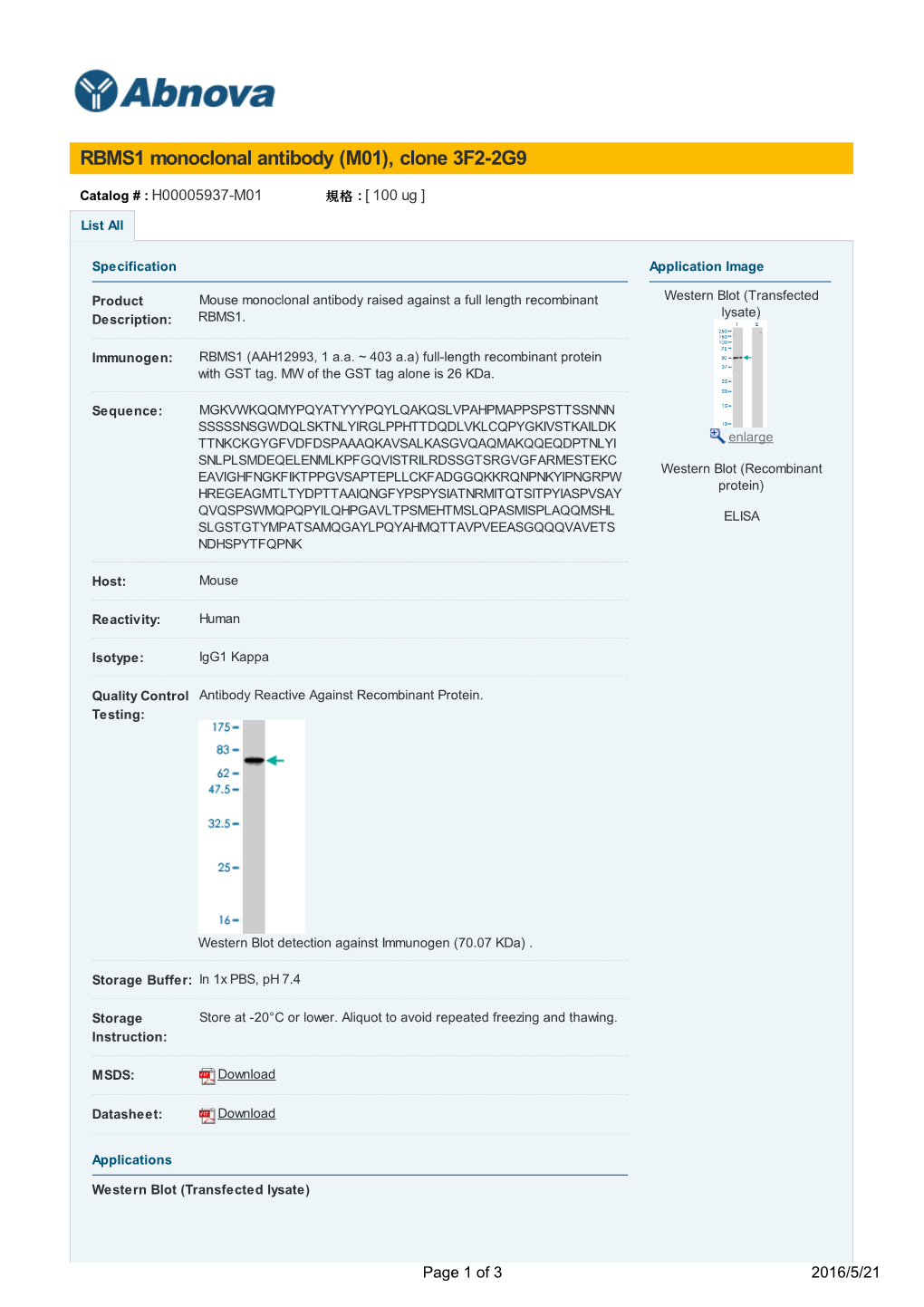 RBMS1 Monoclonal Antibody (M01), Clone 3F2-2G9