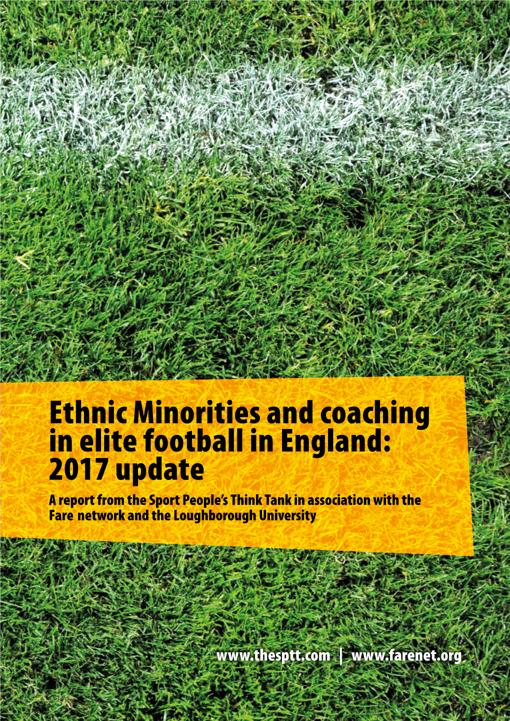 Ethnic Minorities and Coaching in Elite Football In