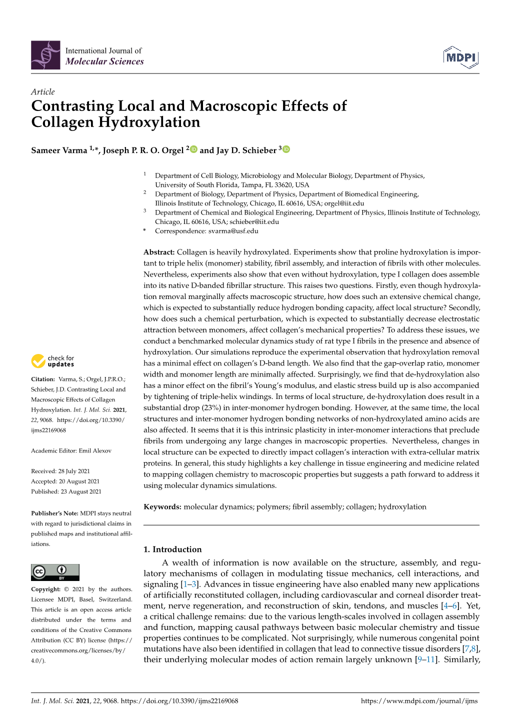 Contrasting Local and Macroscopic Effects of Collagen Hydroxylation