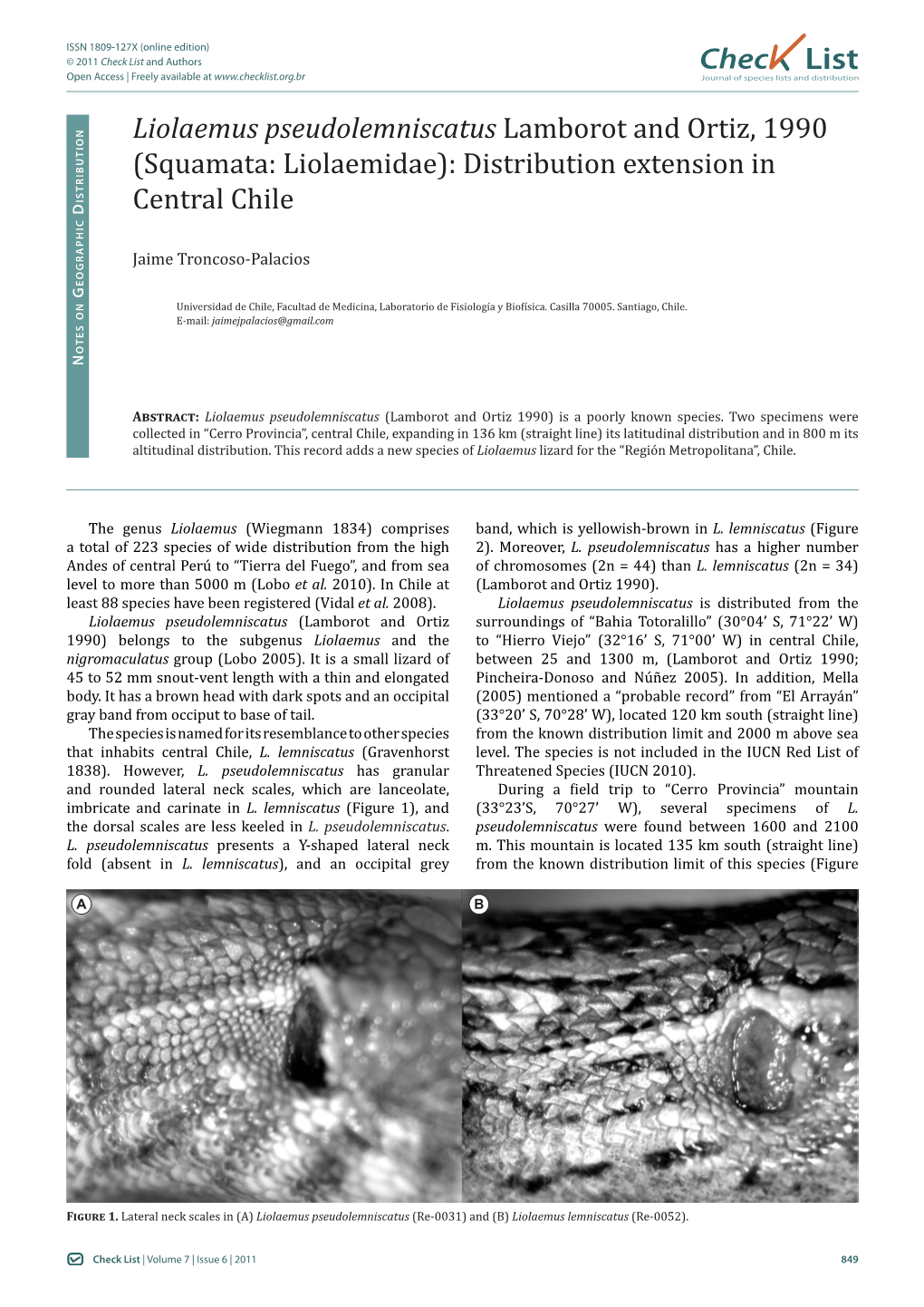 Liolaemus Pseudolemniscatus Lamborot and Ortiz, 1990