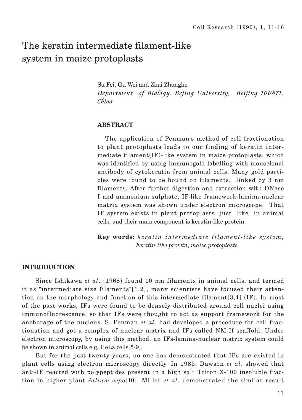 The Keratin Intermediate Filament-Like System in Maize Protoplasts