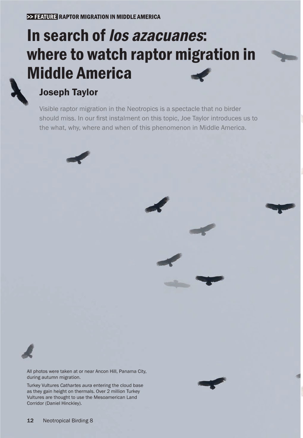 Where to Watch Raptor Migration in Middle America Joseph Taylor