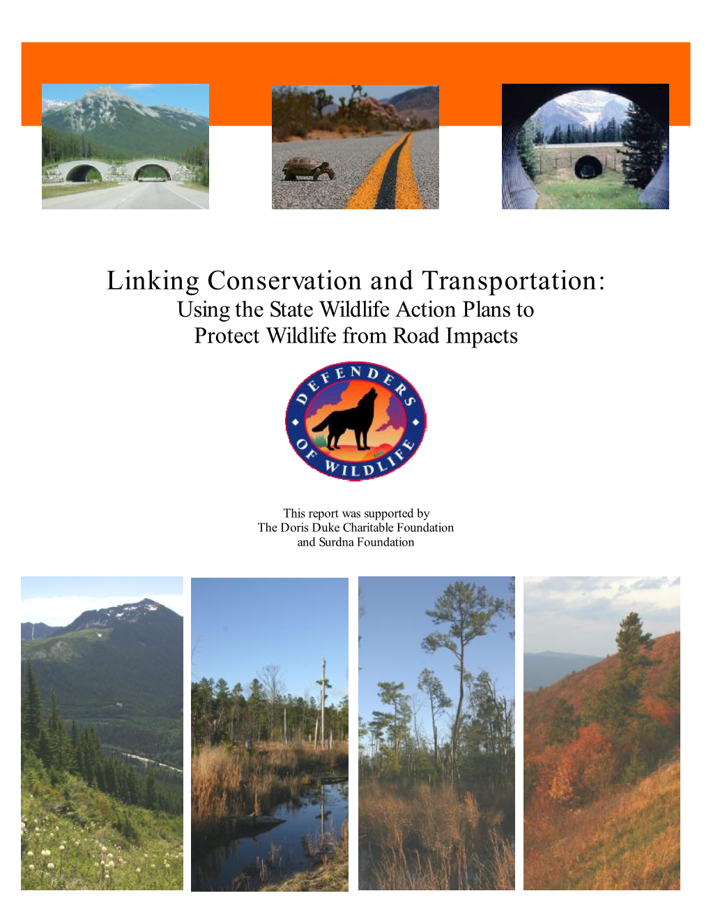 Linking Conservation and Transportation: Using the State Wildlife Action Plans to Protect Wildlife from Road Impacts