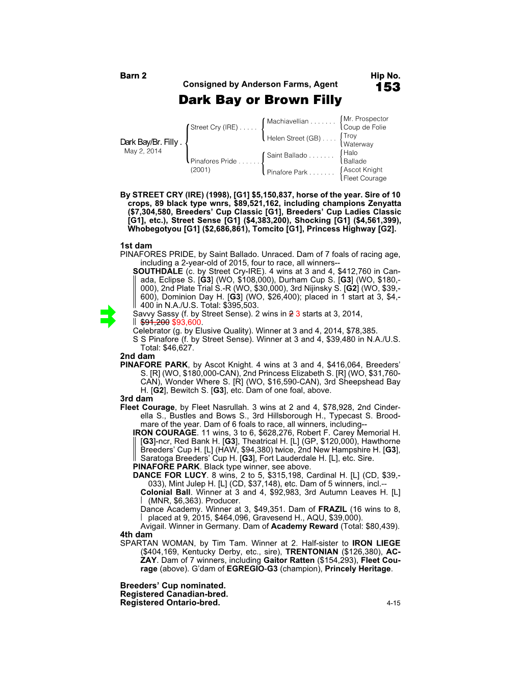 153 Dark Bay Or Brown Filly