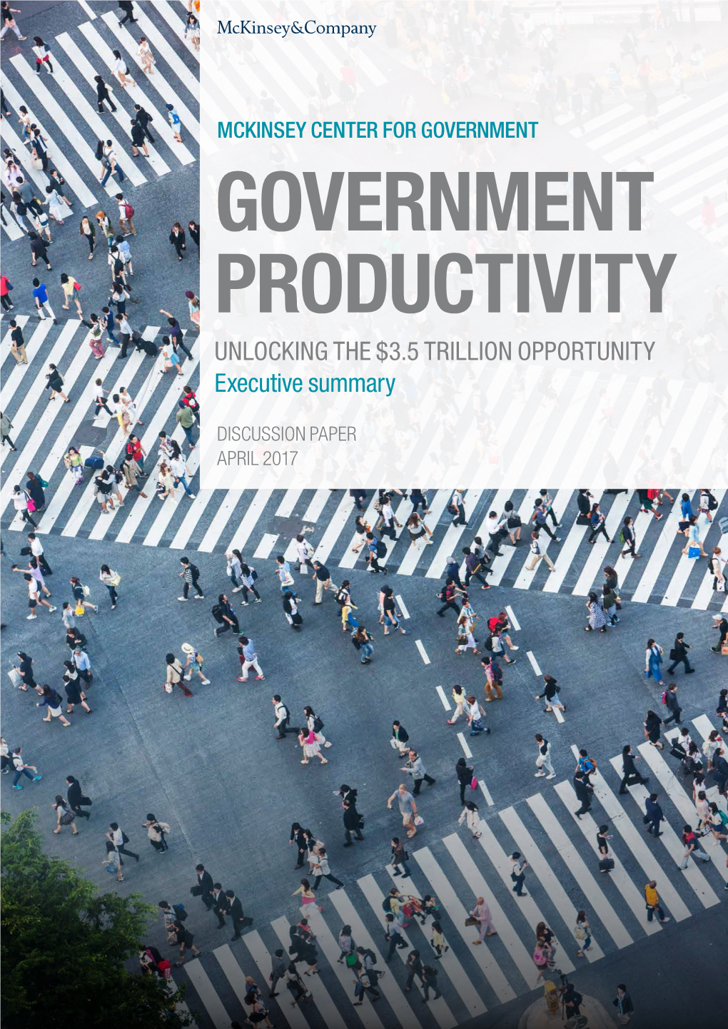 Government Productivity Report