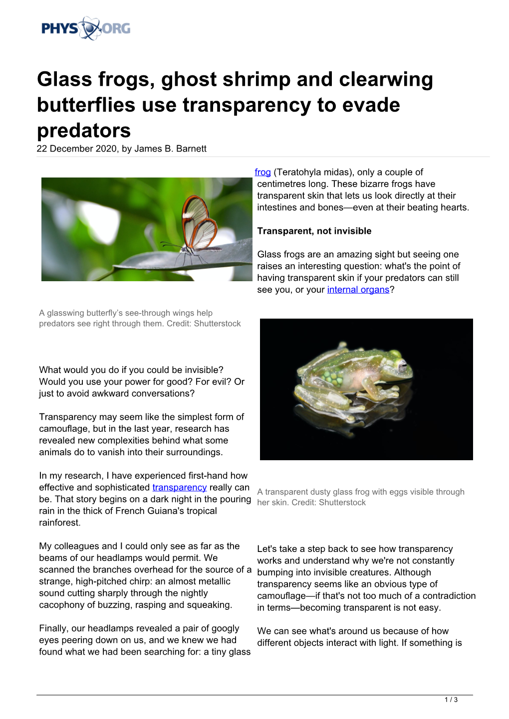 Glass Frogs, Ghost Shrimp and Clearwing Butterflies Use Transparency to Evade Predators 22 December 2020, by James B