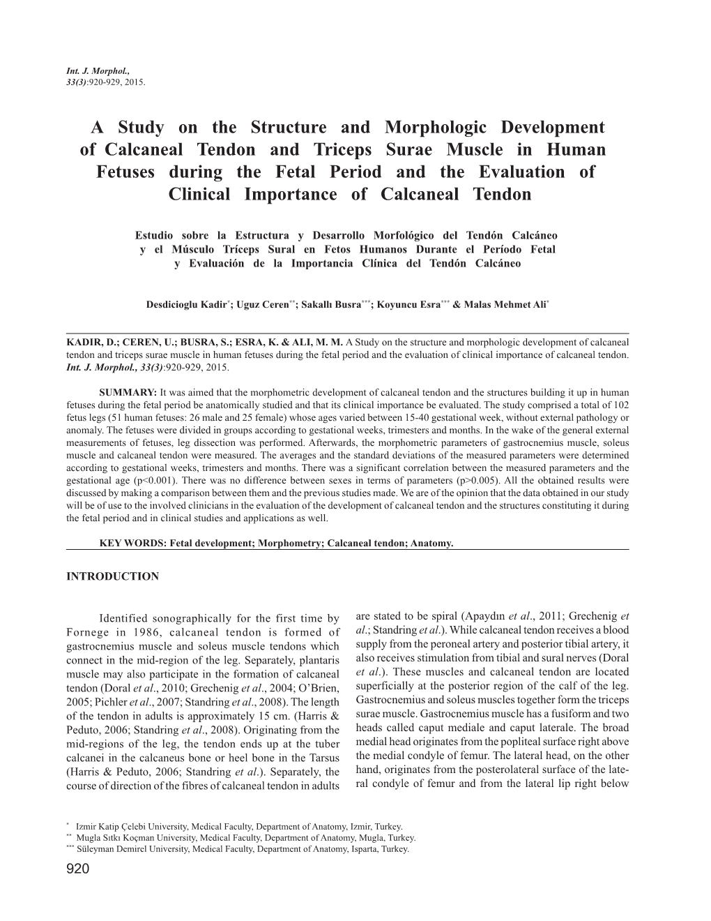 A Study on the Structure and Morphologic Development Of