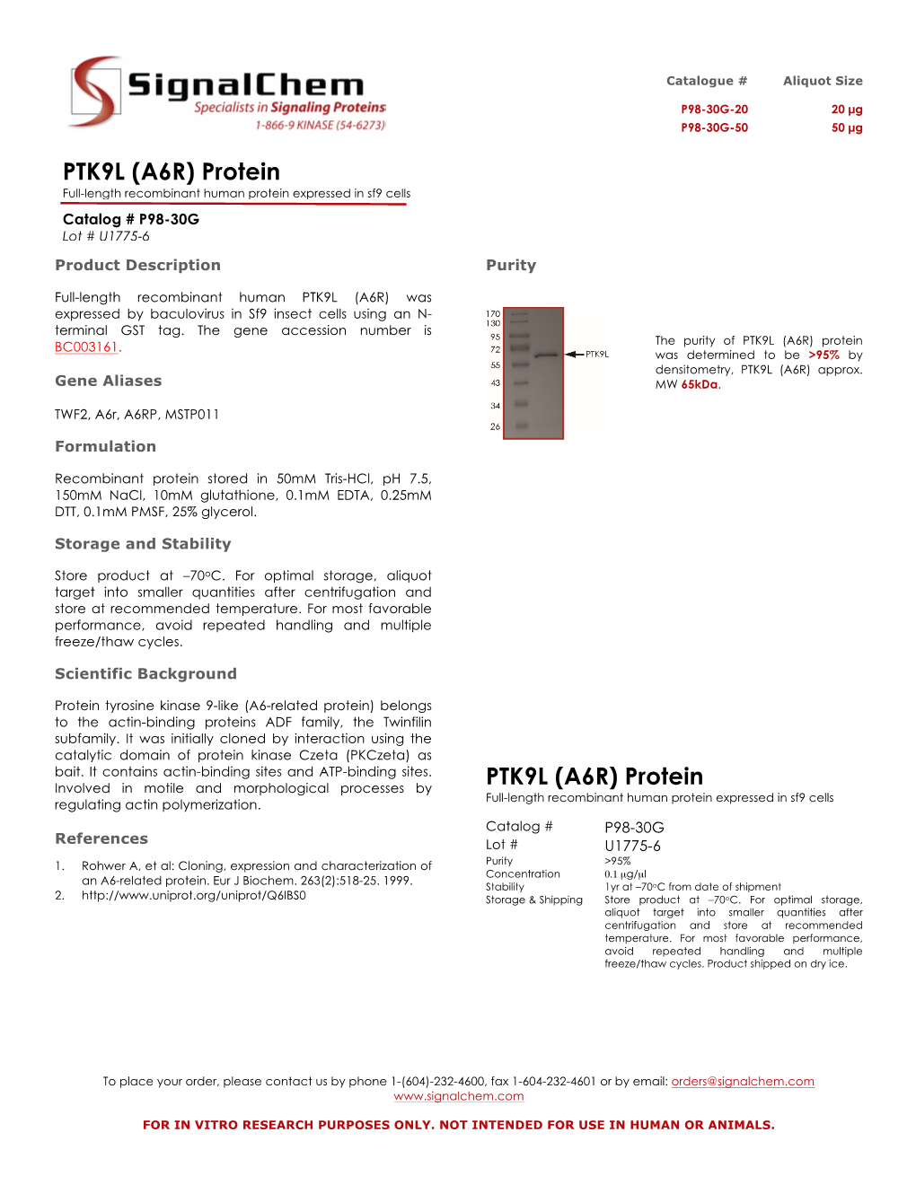 A6R) Protein PTK9L (A6R