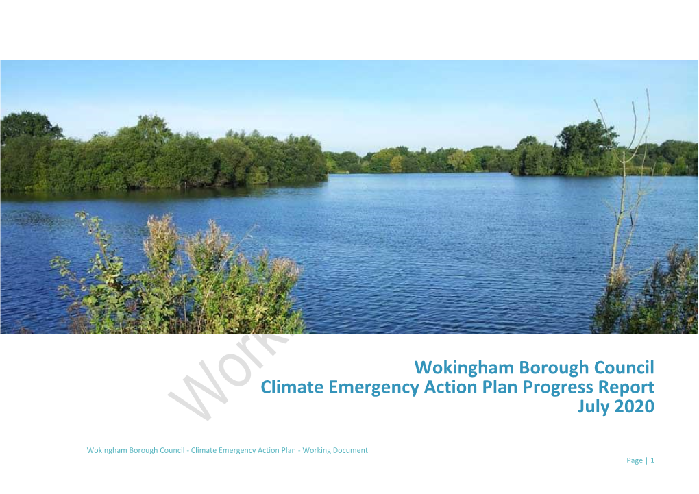 Wokingham Borough Council Climate Emergency Action Plan Progress Report July 2020