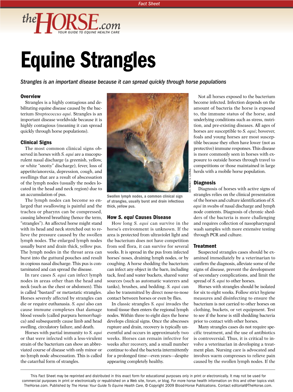 Equine Strangles Strangles Is an Important Disease Because It Can Spread Quickly Through Horse Populations