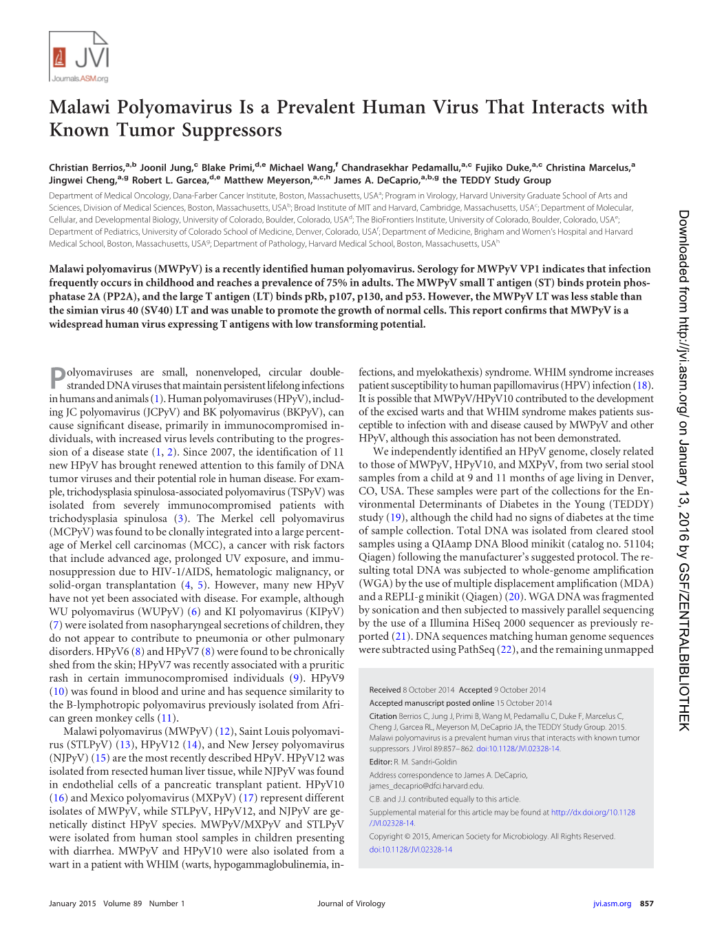 Malawi Polyomavirus Is a Prevalent Human Virus That Interacts with Known Tumor Suppressors