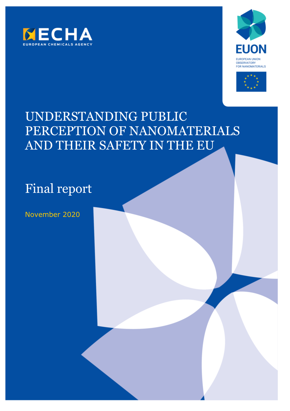 Understanding Public Perception of Nanomaterials and Their Safety in the Eu