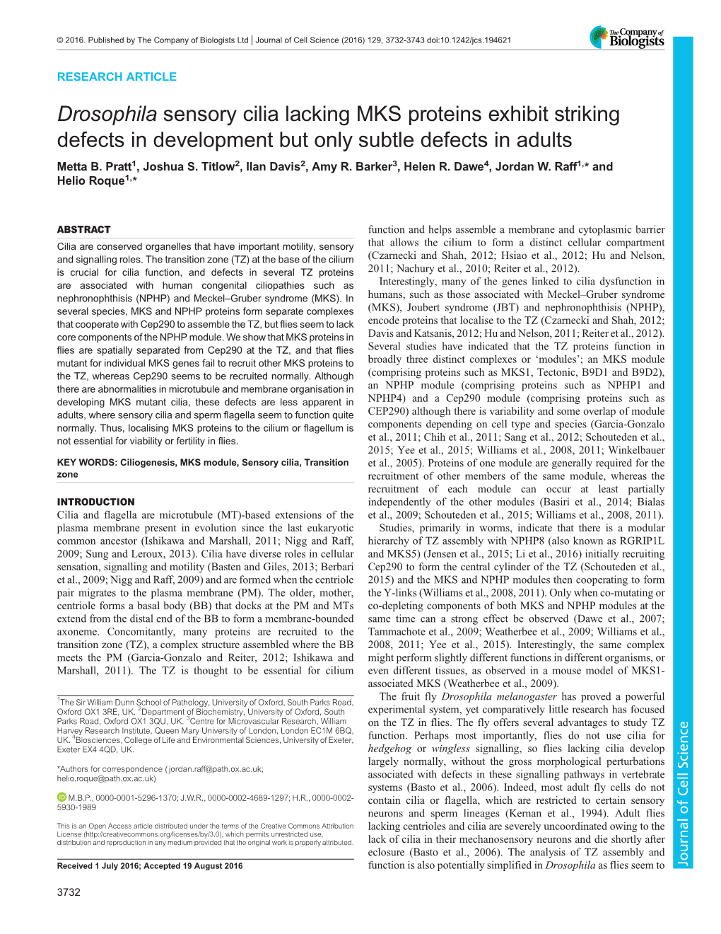 Drosophila Sensory Cilia Lacking MKS Proteins Exhibit Striking Defects in Development but Only Subtle Defects in Adults Metta B