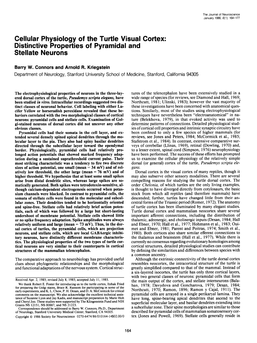 Cellular Physiology of the Turtle Visual Cortex: Distinctive Properties of Pyramidal and Stellate Neurons