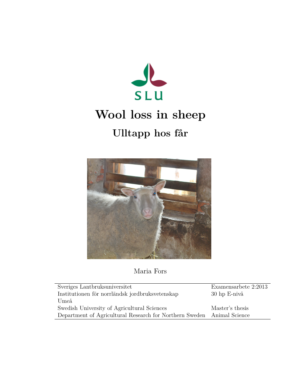 Wool Loss in Sheep Ulltapp Hos Får