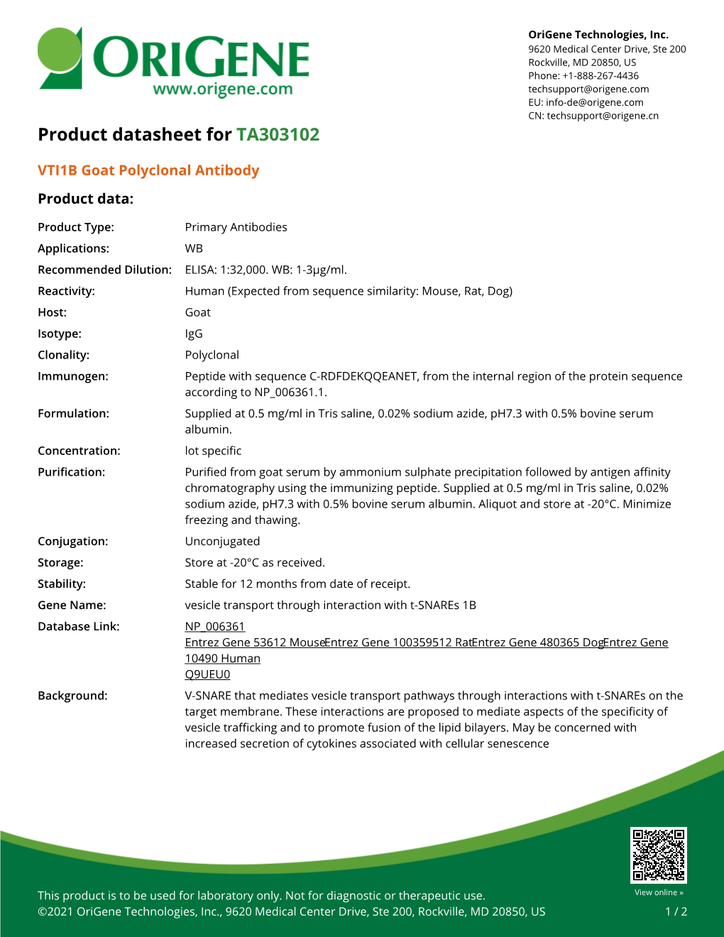 VTI1B Goat Polyclonal Antibody – TA303102 | Origene