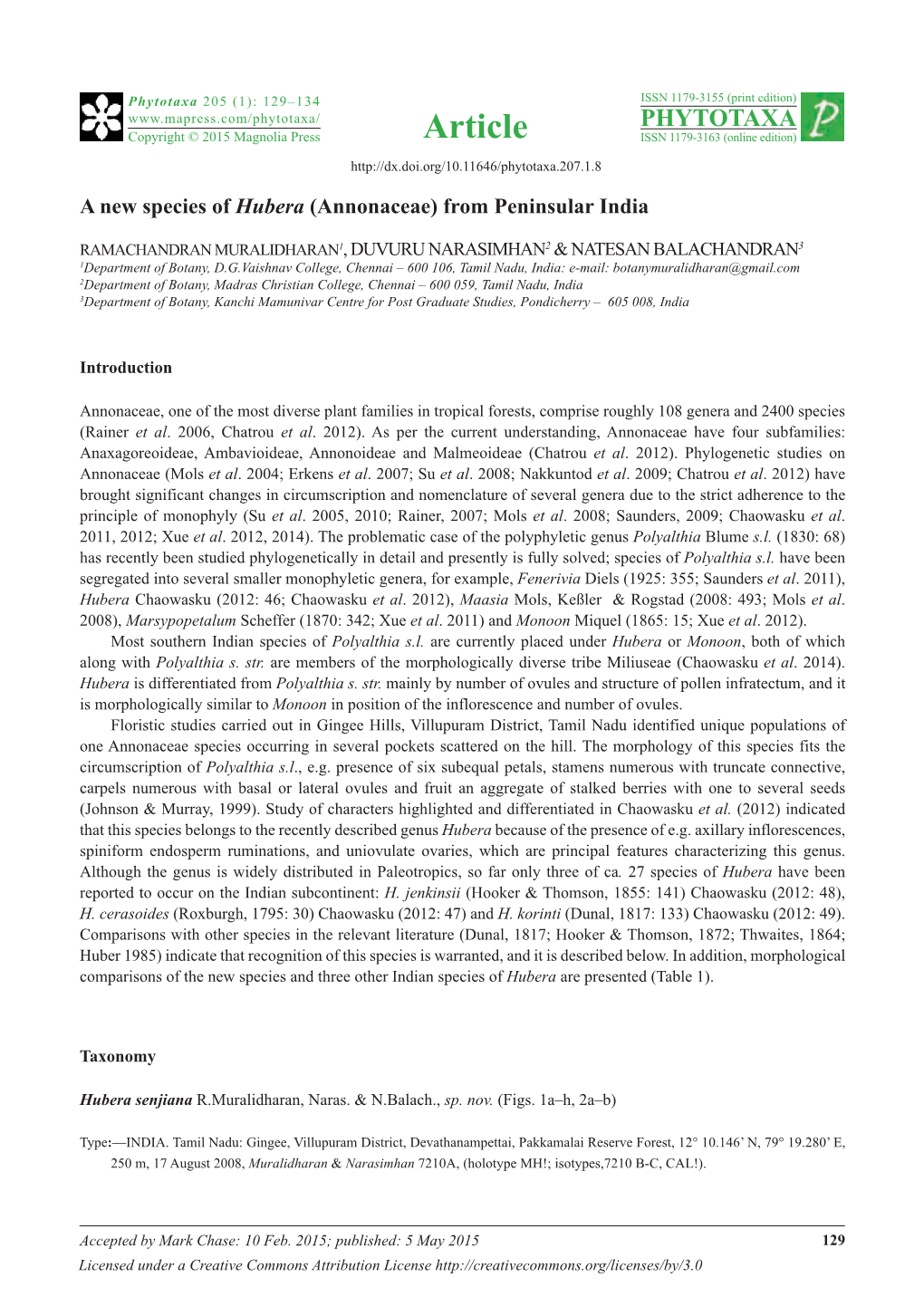 A New Species of Hubera (Annonaceae) from Peninsular India