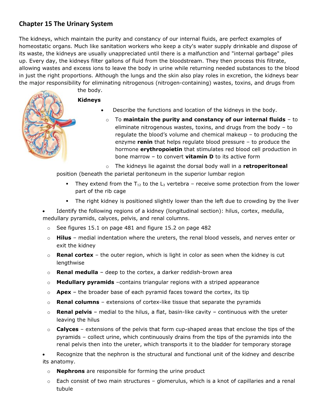 Chapter 15 the Urinary System