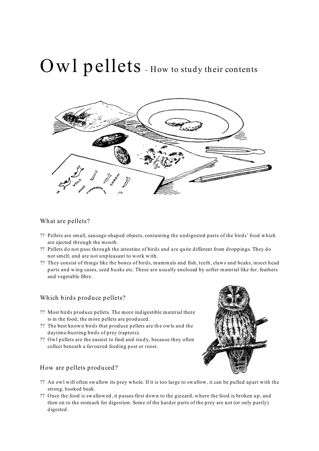 Owl Pellets- How to Study Their Contents