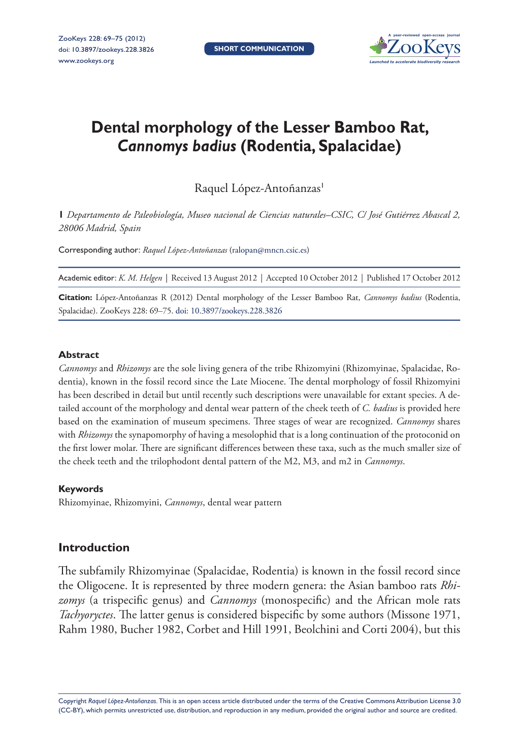 Dental Morphology of the Lesser Bamboo Rat, Cannomys Badius (Rodentia, Spalacidae)